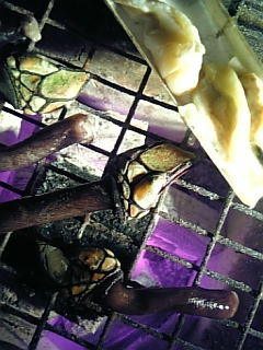 亀の手＆カレー_c0033210_1033747.jpg