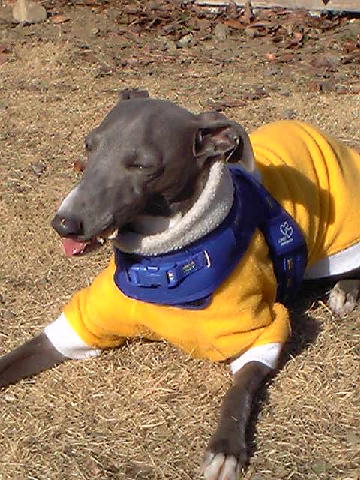 c0003217_0251759.jpg