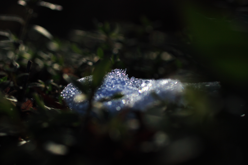 c0044720_7302694.jpg