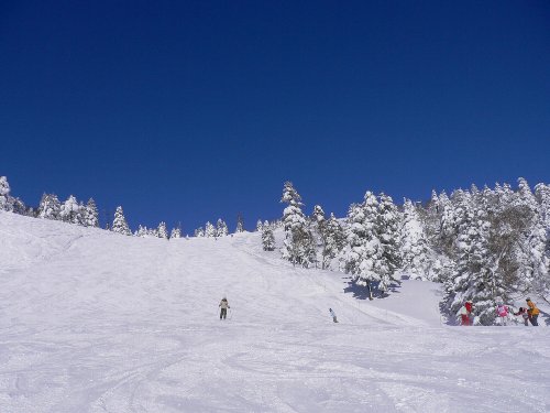 c0042929_21173618.jpg