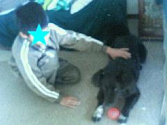 c0067066_1034037.jpg