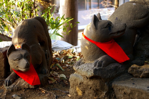 水稲荷神社と甘泉園公園_b0053019_23463071.jpg