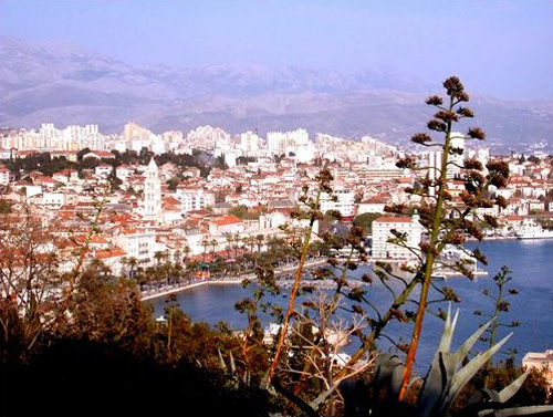 f0039021_4275945.jpg