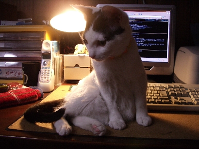 e0000126_13422034.jpg