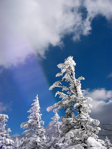 b0067346_19481.jpg