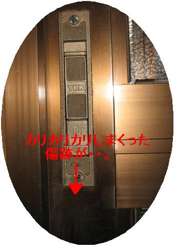 e0085147_21071.jpg