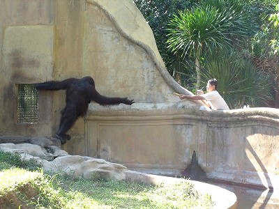 Bali Zoo Park_c0074067_23202248.jpg