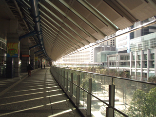 e0008876_0503396.jpg