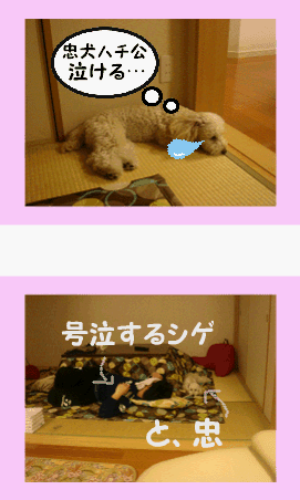c0065885_22121994.gif