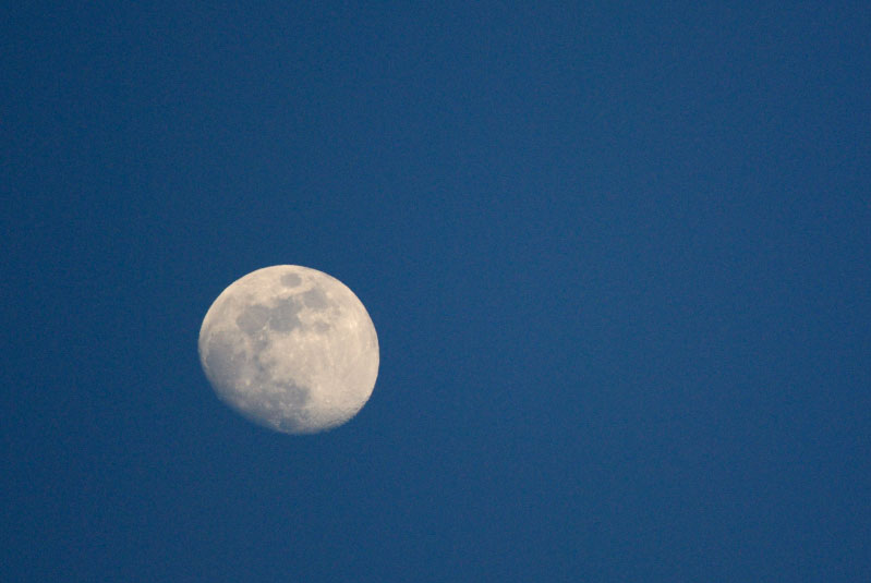 c0034787_20341646.jpg