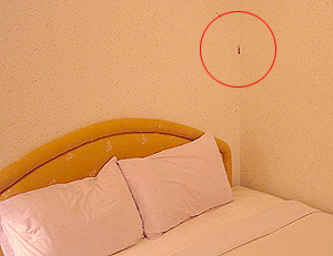 a0036400_23404554.jpg