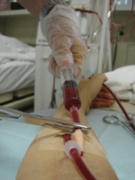 b0043506_1131829.gif