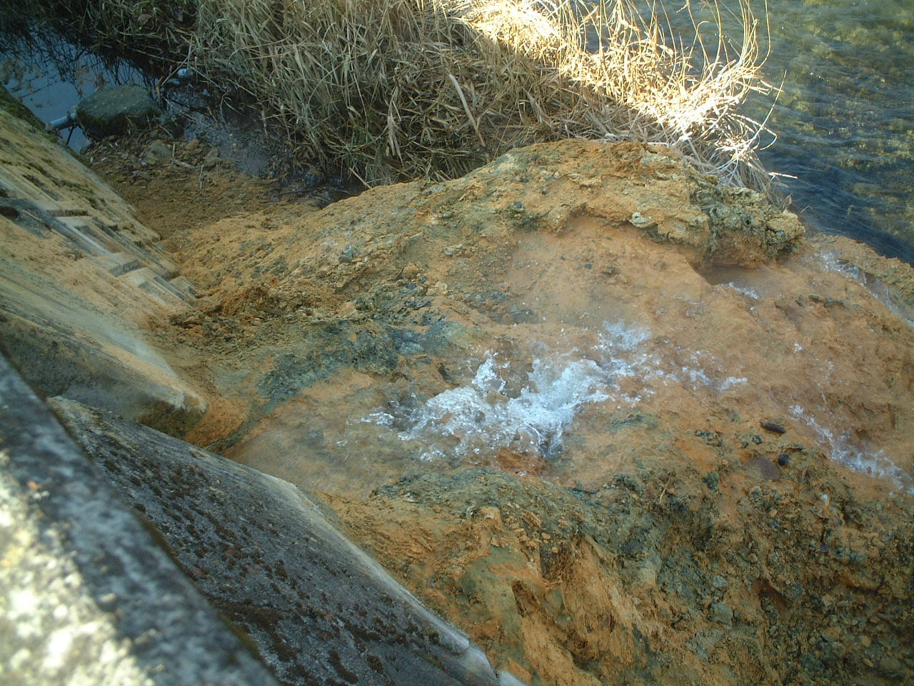 b0009222_14241138.jpg