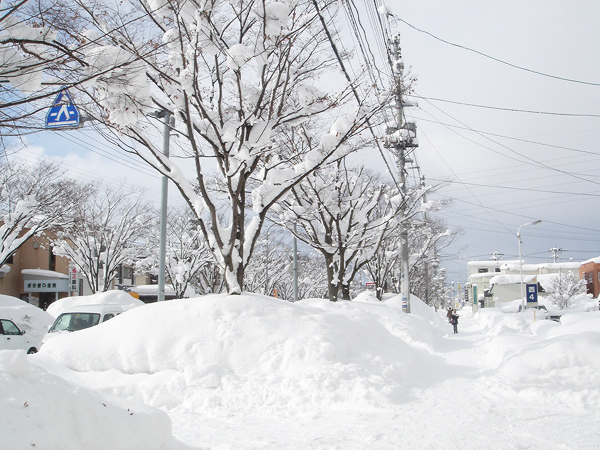 市内の歩道_b0001127_17275094.jpg