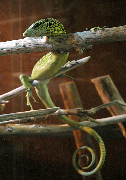 c0066827_14272890.jpg