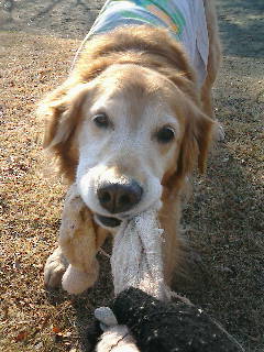 f0035927_1803655.jpg