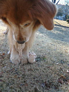f0035927_1805028.jpg