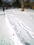 北大、雪のキャンパス_c0048132_16361732.jpg