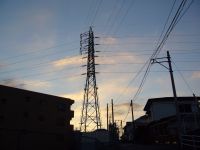 e0080345_1736230.jpg