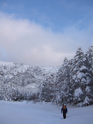 a0016346_0134260.jpg