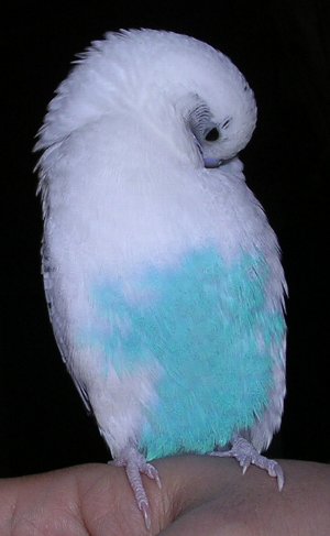 c0054148_13245624.jpg