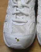 e0082956_3293214.jpg