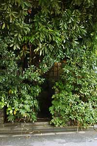 e0072159_0482439.jpg