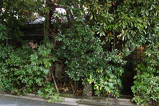 e0072159_0484116.jpg