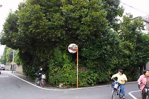 e0072159_0574499.jpg