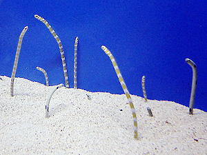 f0026475_2252227.jpg