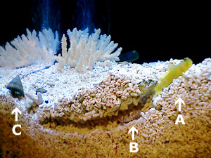 f0026475_22523786.jpg