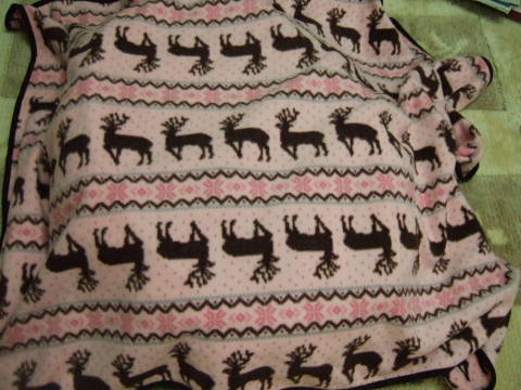 c0075585_1181986.jpg