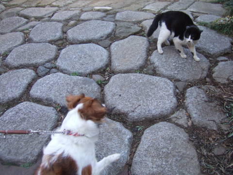 c0075585_172793.jpg