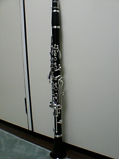 c0052689_2384114.jpg