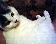 c0005007_217593.jpg