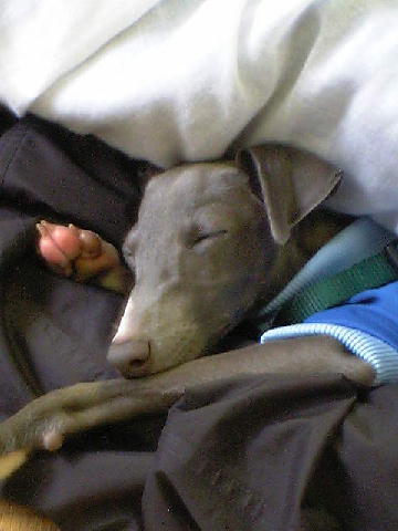 c0003217_1243964.jpg