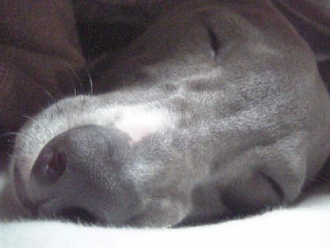 c0003217_1255331.jpg