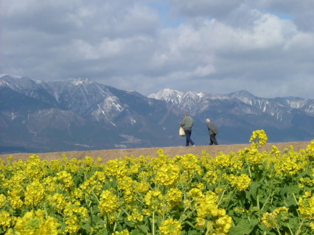 b0055171_23491472.jpg