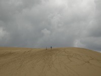 a0034487_21234326.jpg