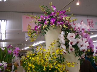 d0067192_9453668.jpg