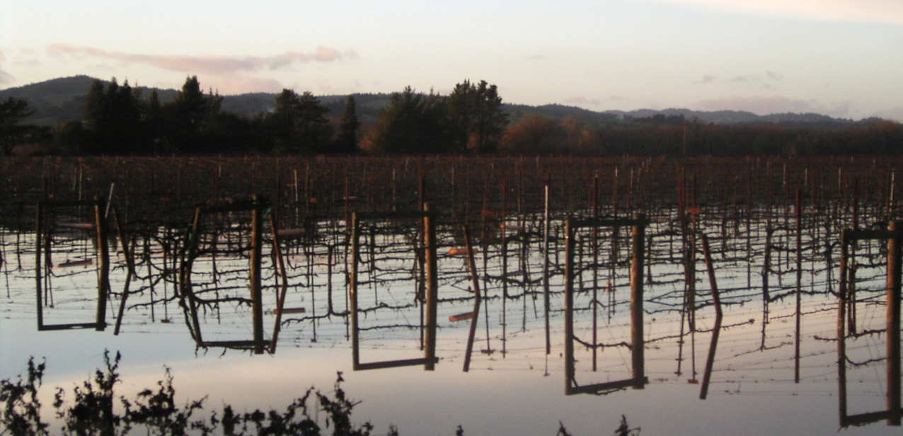 f0007498_1343568.jpg