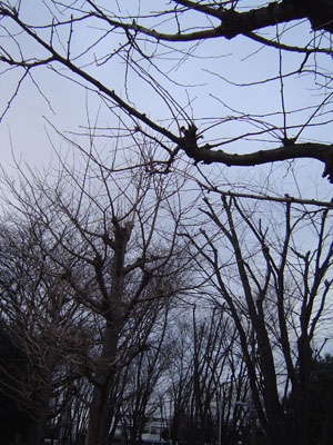 c0011204_21594228.jpg