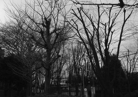 c0011204_2201097.jpg