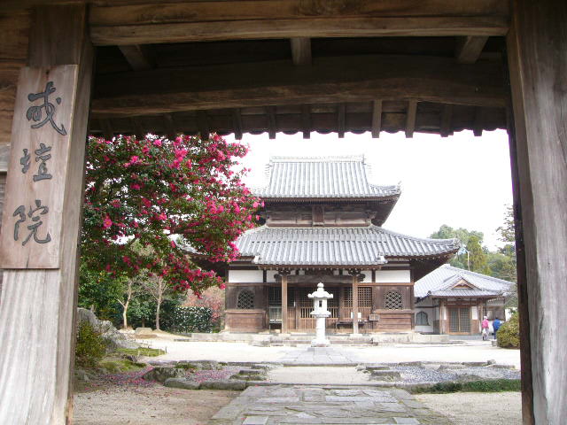 太宰府 四季の花_a0042310_11353062.jpg