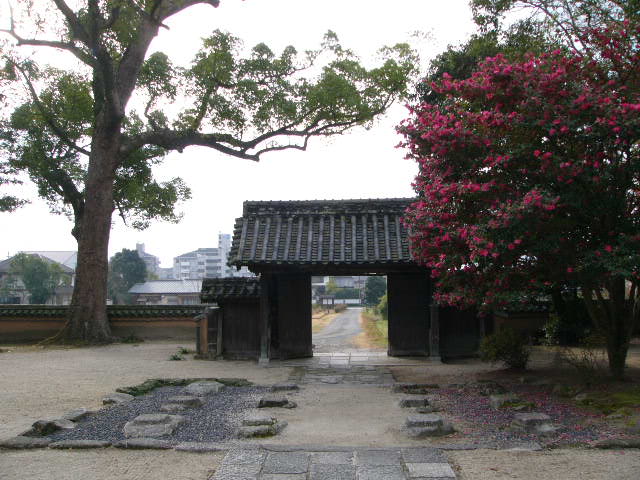 太宰府 四季の花_a0042310_11375291.jpg