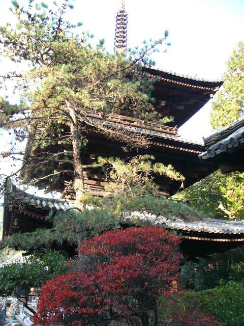 四国の旅_a0042310_12552638.jpg