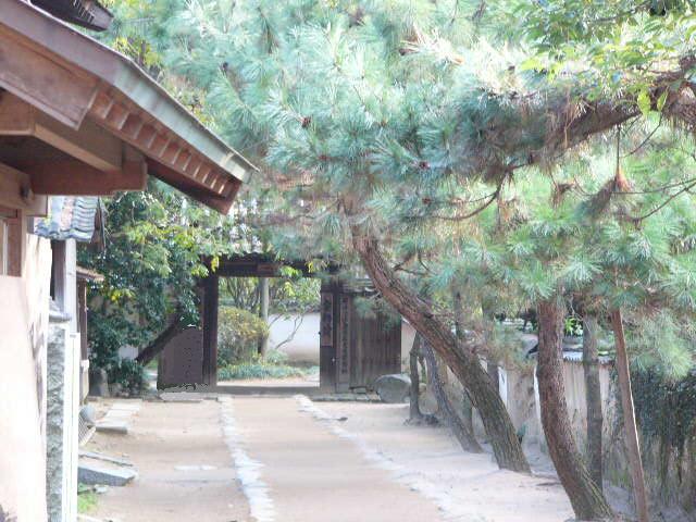 四国の旅_a0042310_12581951.jpg