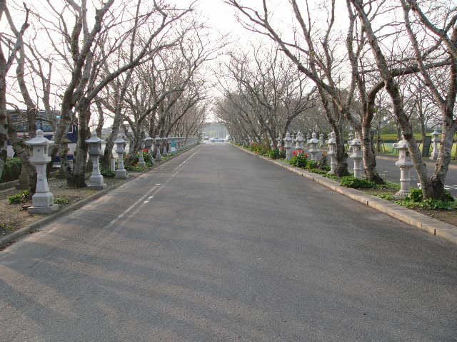 鹿児島の旅_a0042310_14344384.jpg