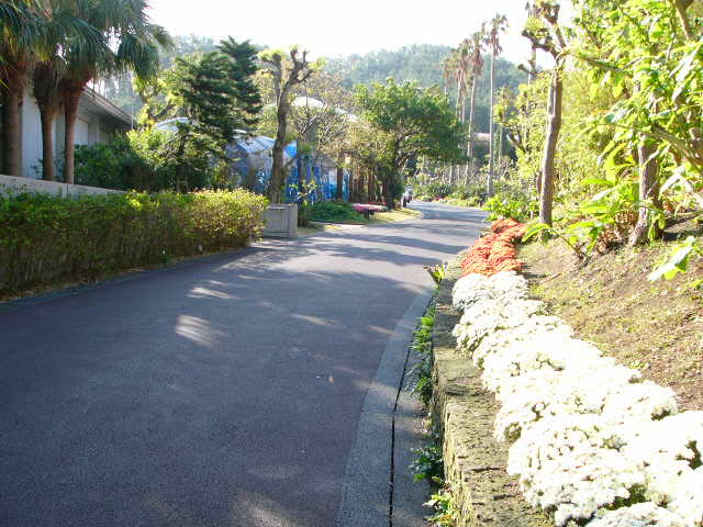 鹿児島の旅_a0042310_1451310.jpg