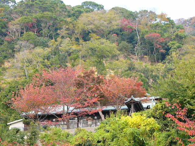クルーズ・神戸_a0042310_178599.jpg